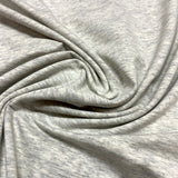 Jersey coton biologique/ élasthanne gris très pâle - 3948213