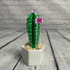 Cactus porte épingle PETIT-🍐-Yé creations