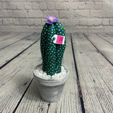 Cactus porte épingle PETIT-🍐-Yé creations
